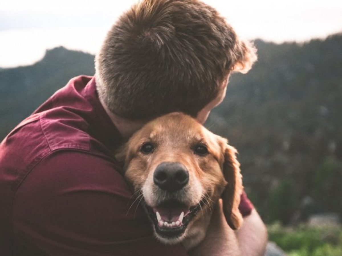 Πώς η επαφή με τα ζώα μας κάνει να νιώθουμε καλύτερα;