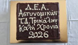 pragmatopiithike-i-kopi-tis-protochroniatikis-1