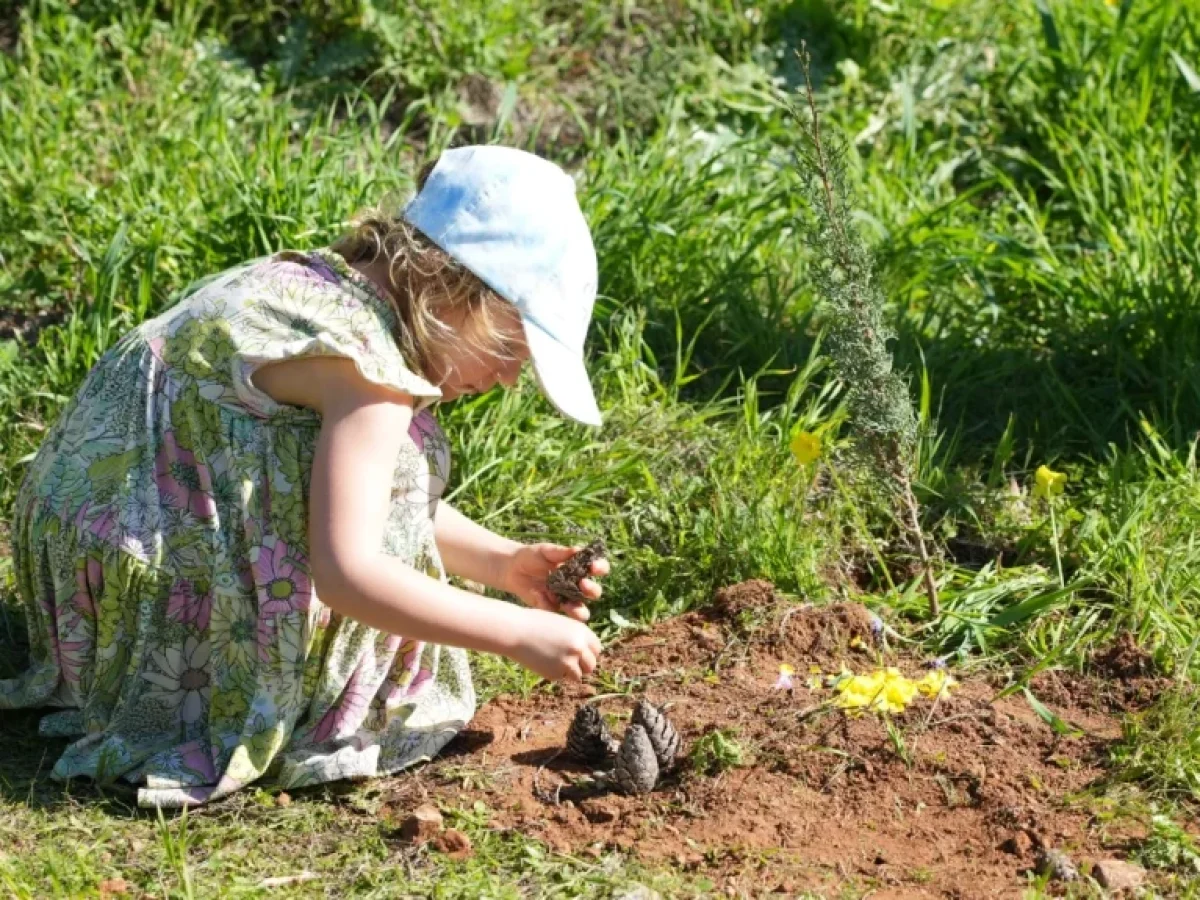 «Πράσινη» Κυριακή στο Καβούρι: 1.000 νέα δέντρα στον Λόφο ΛΟΚ