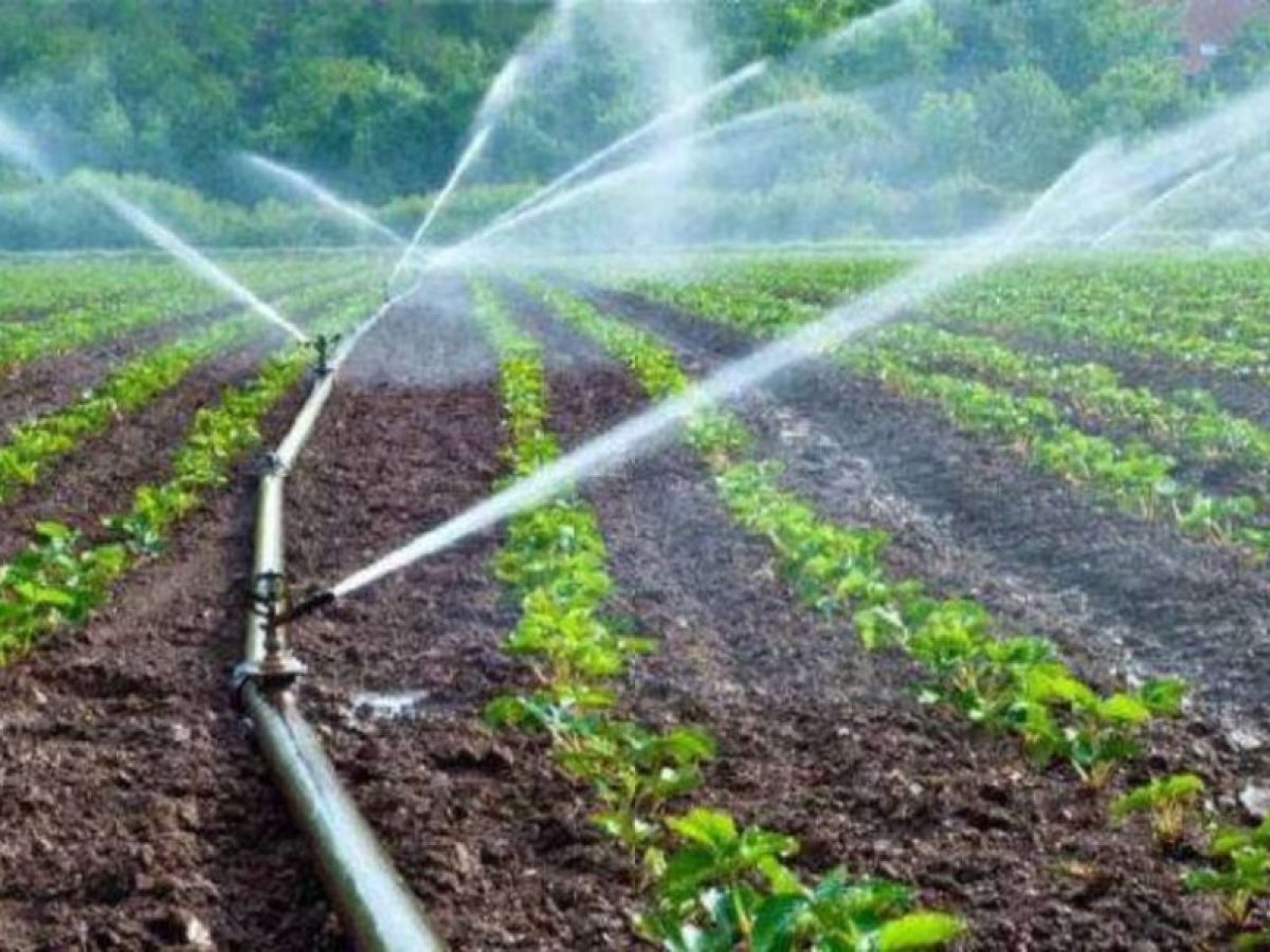 Προδημοσίευση για σχέδια βελτίωσης και αγροτικές επενδύσεις στη Λακωνία