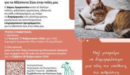 prosklisi-se-dimosia-diavoulefsi-2