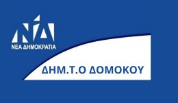 prosklisi-stin-kopi-tis-protochroniatikis