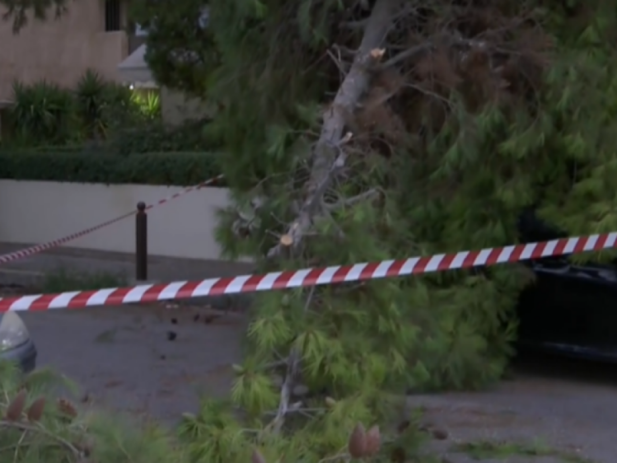 Προσωρινό κλείσιμο της οδού Ομήρου στην ανατολική Θεσσαλονίκη λόγω πτώσης δέντρου