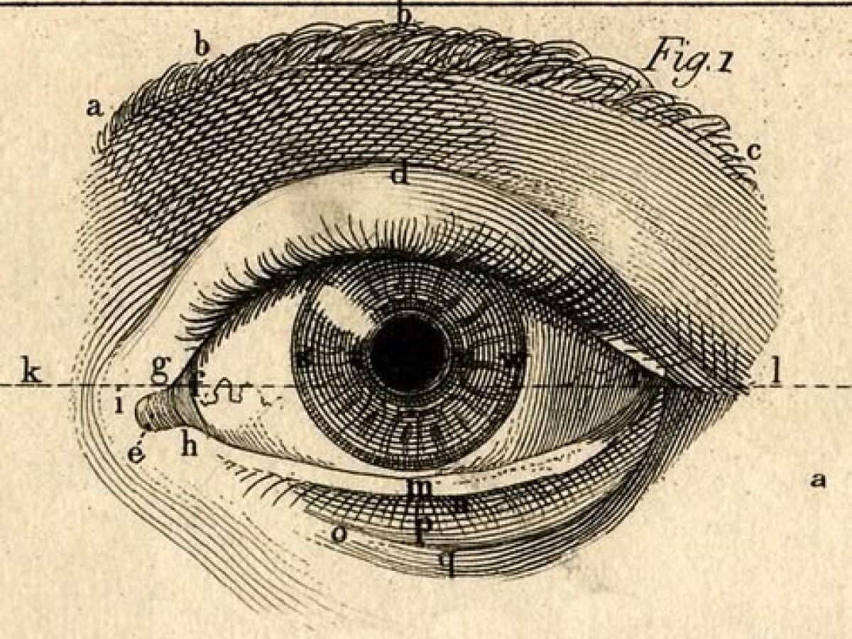 Πρωτοβουλία Πανεπιστημιακών ΑΠΘ-ΠΑΜΑΚ-ΔΙΠΑΕ: O πόλεμος ενάντια στο δημόσιο πανεπιστήμιο και oι αντιστάσεις της ελευθερίας