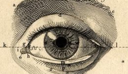 protovoulia-panepistimiakon-Αpth-pΑmΑk-dipΑe-O-polemos