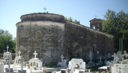 psichosavvato-sto-zapanti-&Alpha;griniou-timi-1