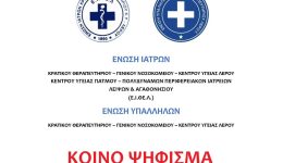 psifisma-igionomikon-lerou-gia-ta-1