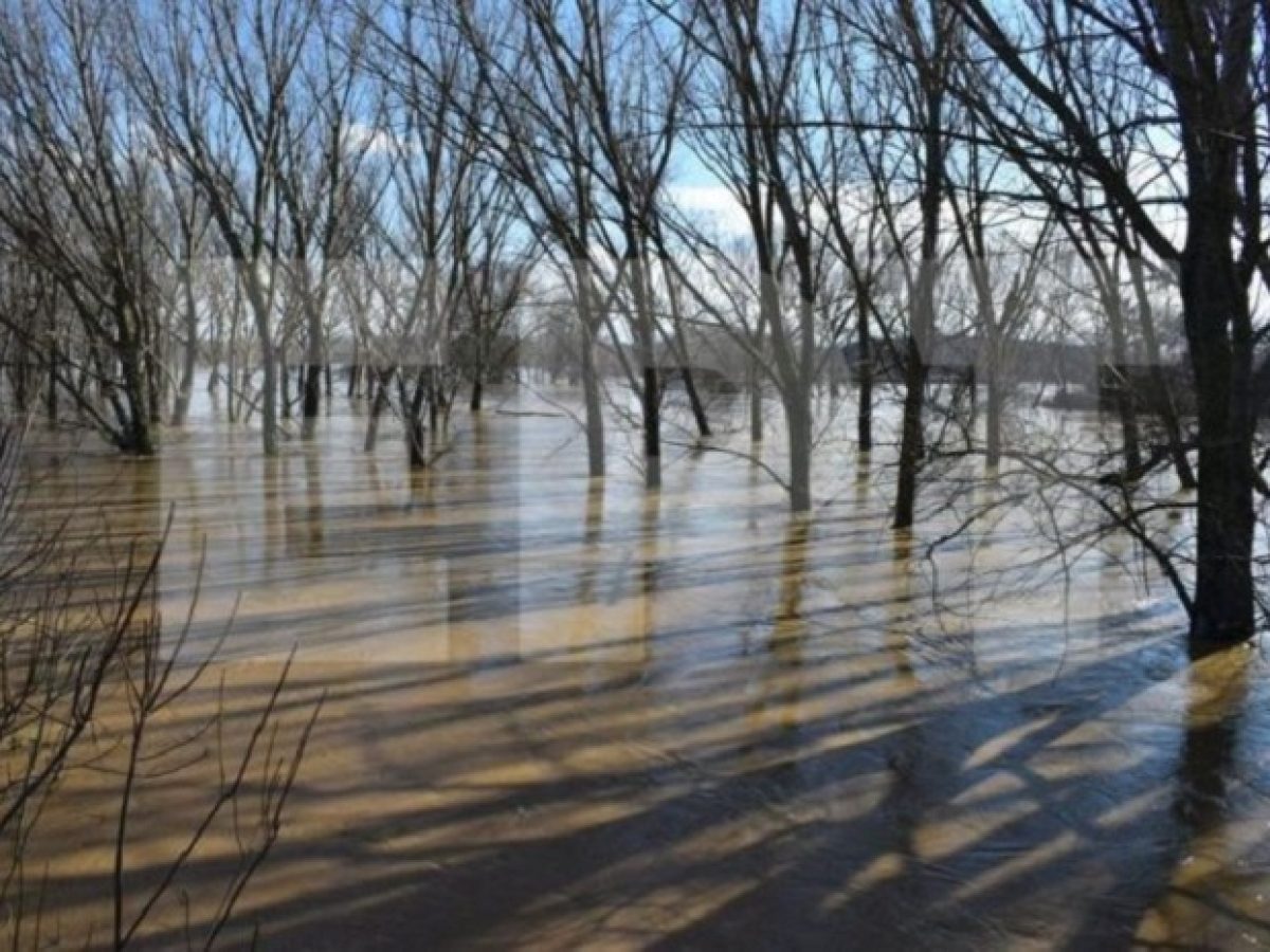 Πτωτική η στάθμη του Έβρου σε Ορεστιάδα και Διδυμότειχο – Σε επιφυλακή ο δήμος Σουφλίου