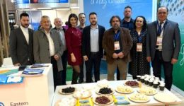 pΑmth-oloklirothike-i-kampania-exostrefias