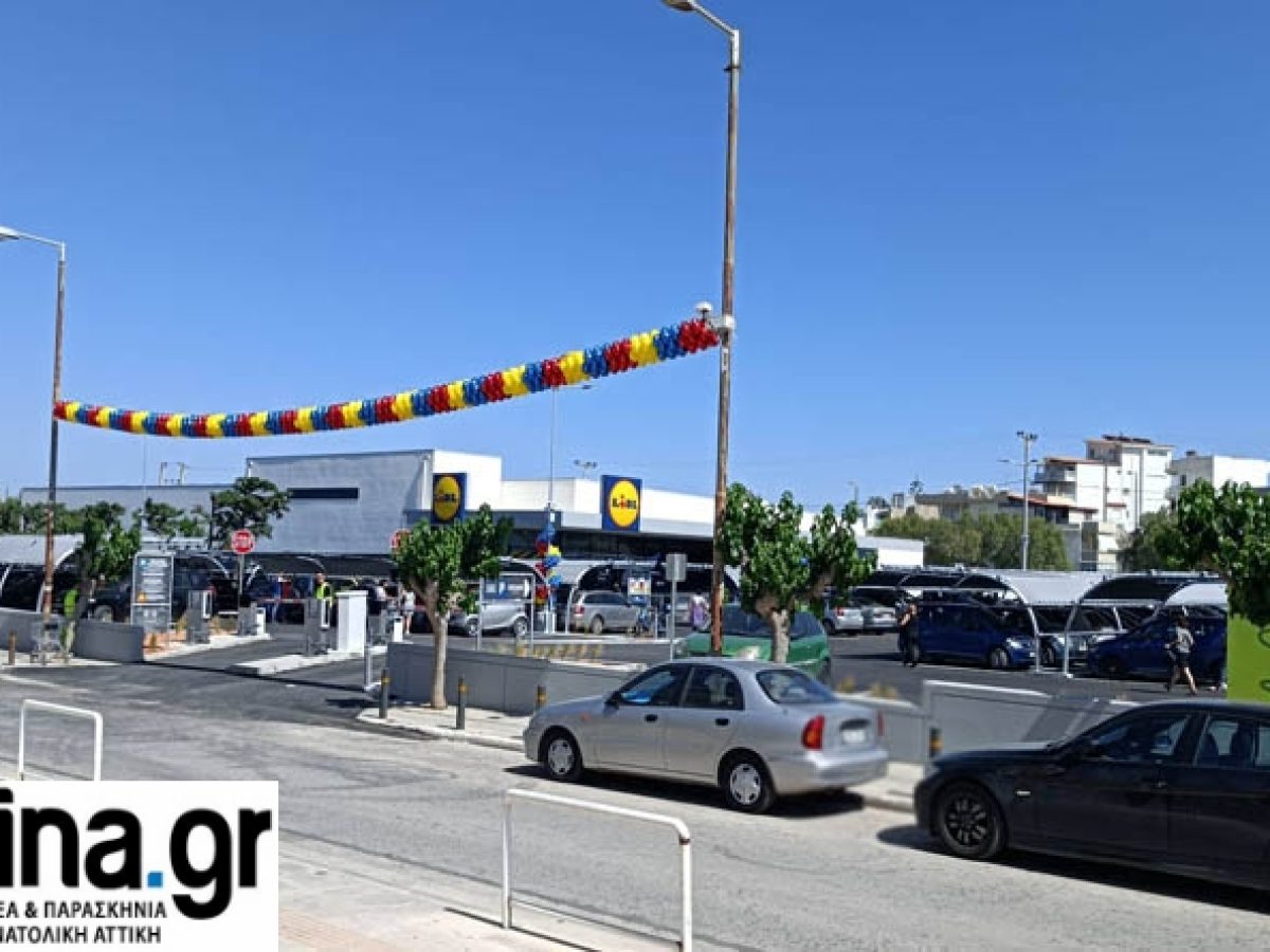 Ραφήνα: Χάθηκε σκύλος κοντά στα Lidl
