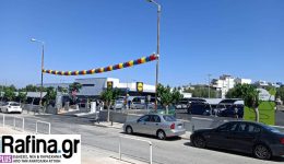 rafina-chathike-skilos-konta-sta