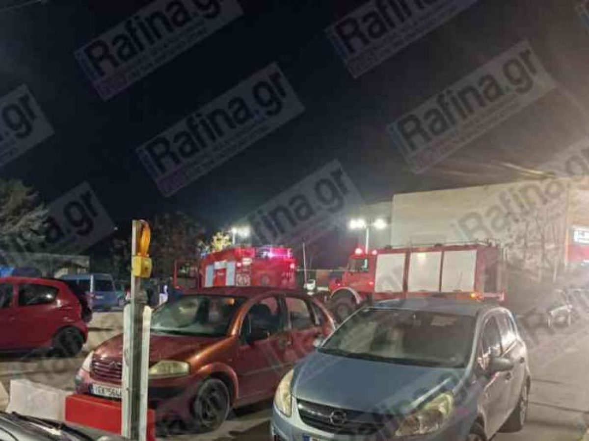 Ραφήνα: Μεγάλη κινητοποίηση της πυροσβεστικής – Τι συνέβη (φωτό)