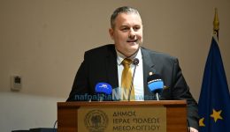 riziki-anakenisi-tis-dimotikis-pinakothikis