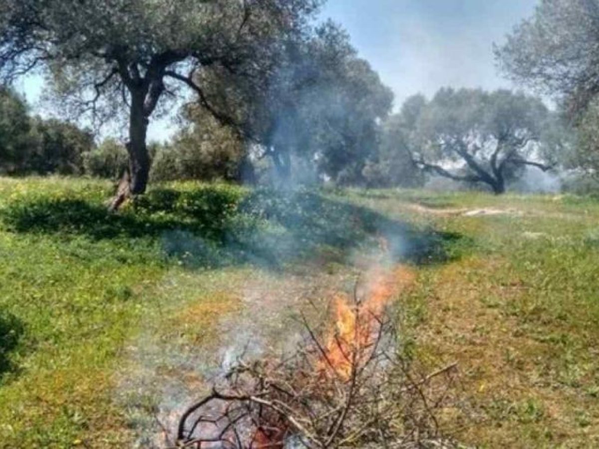 Ρόδος: Νέα καμπάνα άνω των 1.000 ευρώ σε συμπολίτη μας για καύση υπολειμμάτων χωρίς πυροπροστασία – Βάζουν φωτιές και με θυελλώδεις ανέμους !