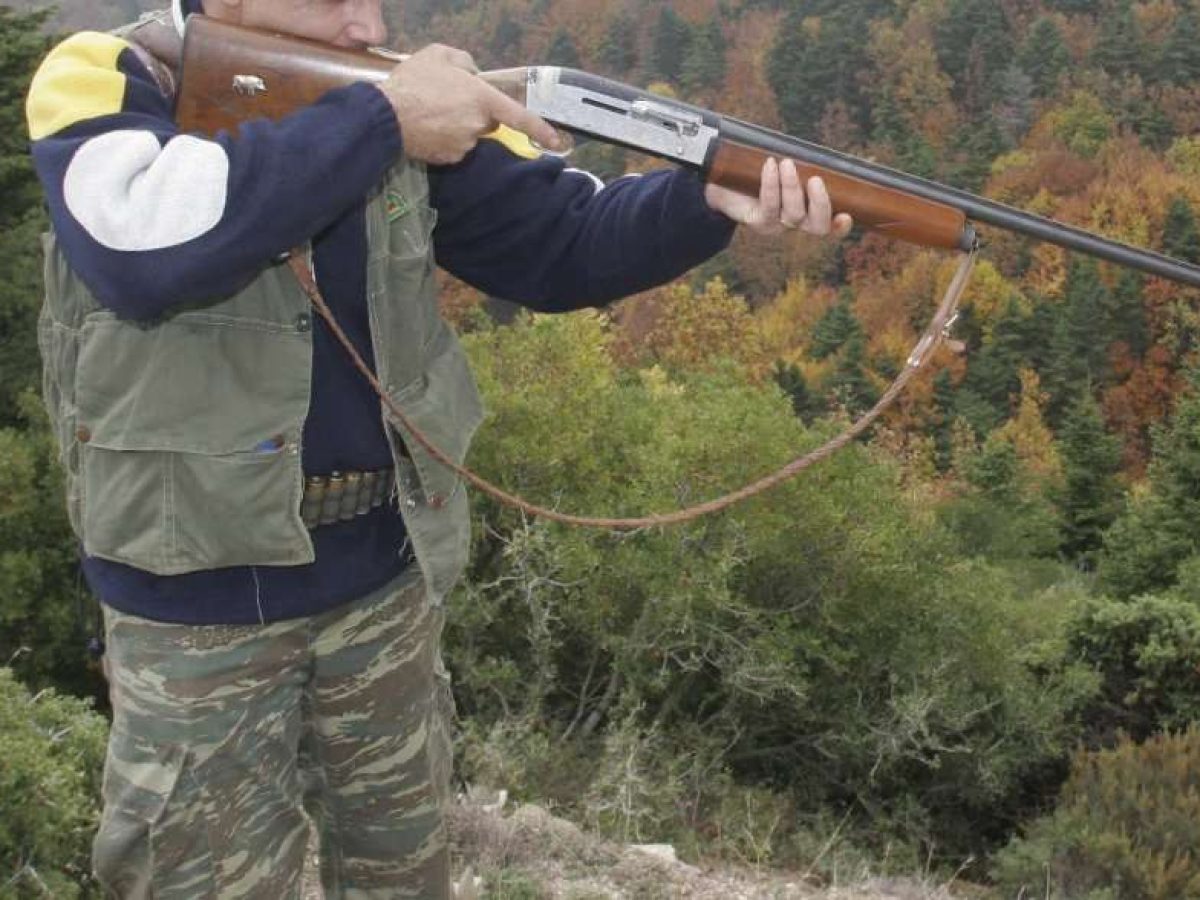 Ρόδος: Πρόστιμα και αφαίρεση αδειών θήρας για εκπαίδευση σκύλων σε καμένη περιοχή