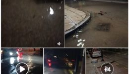 s.-chatzipetros-entones-vrochoptosis-–