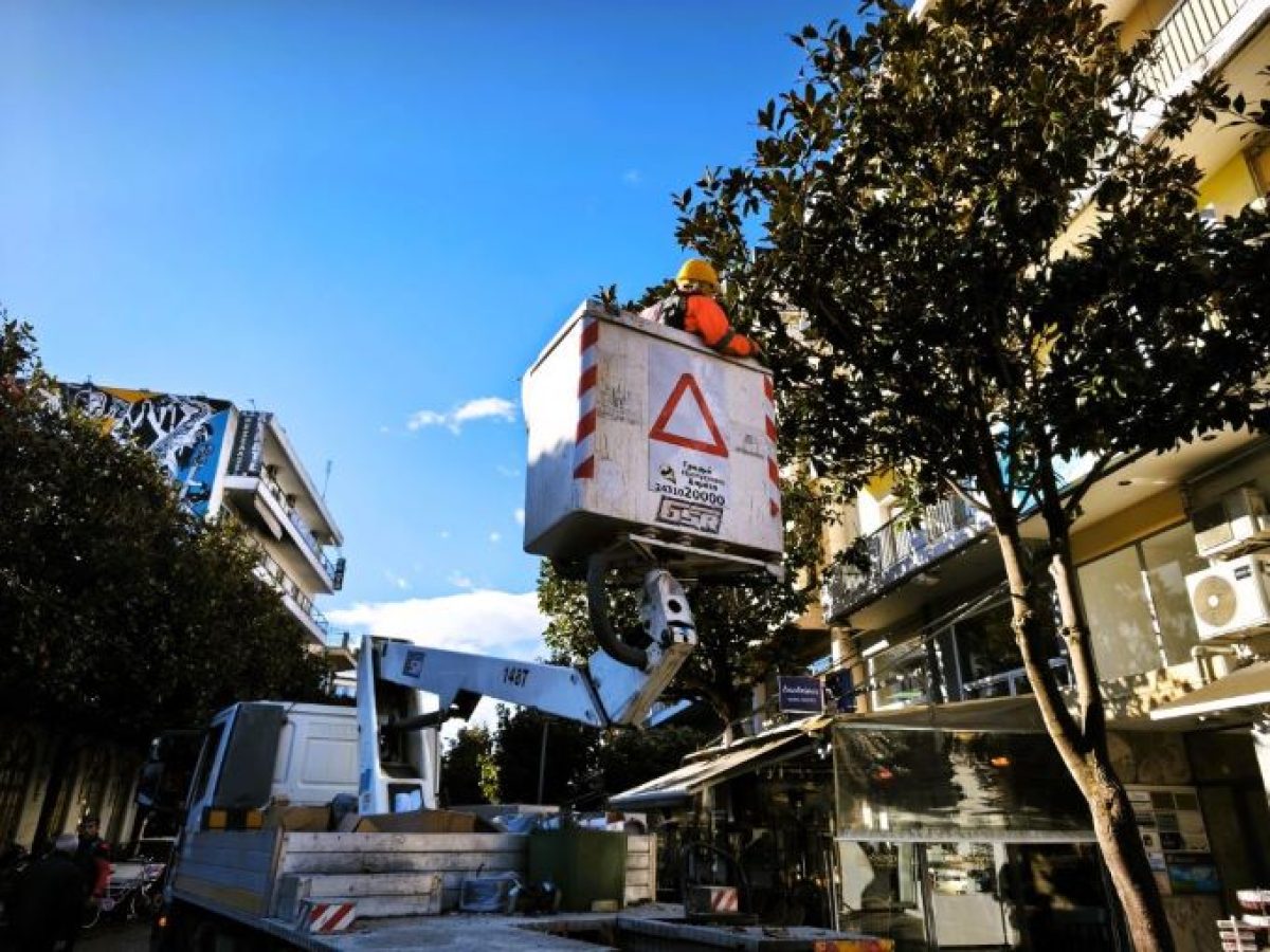 Σε 1.700+ δέντρα η πρώτη φάση κλάδευσης από τον Δήμο Τρικκαίων