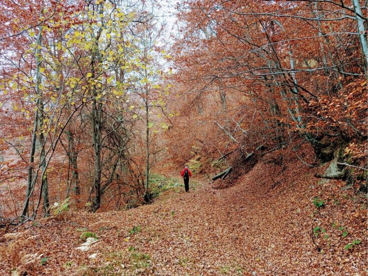 Σε εξέλιξη το έργο της δημιουργίας Κέντρου Ανάπτυξης Ορεινών Δραστηριοτήτων Δήμου Δράμας