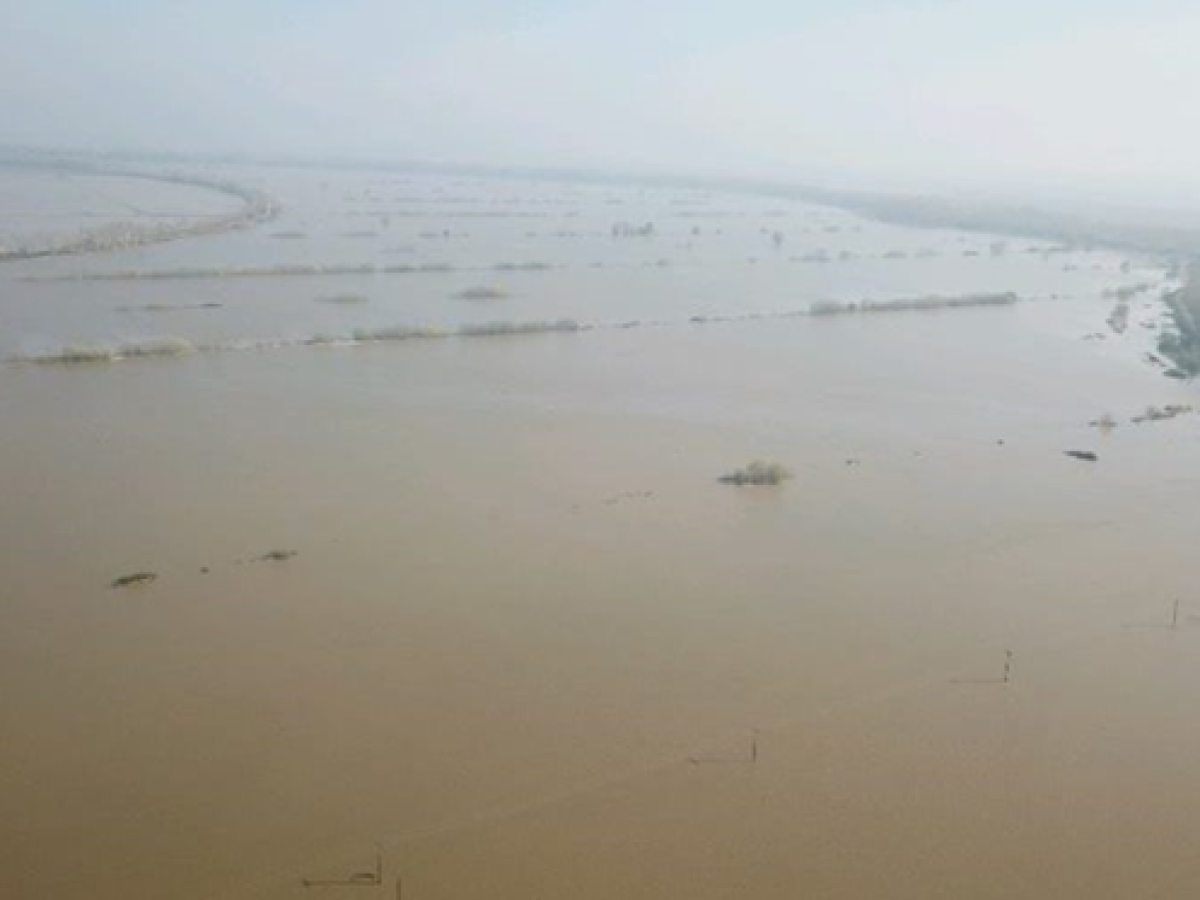 Σε «συναγερμό» ξανά ο Έβρος για νέες πλημμύρες – Πάνω από το όριο η στάθμη του ποταμού στο Πύθιο
