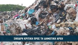 sfodri-kritiki-pros-tin-dimotiki