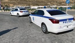 sillipsis-paranomon-allodapon-se-mikono