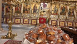 sillogos-politeknon-n.rodopis-kopi-pitas