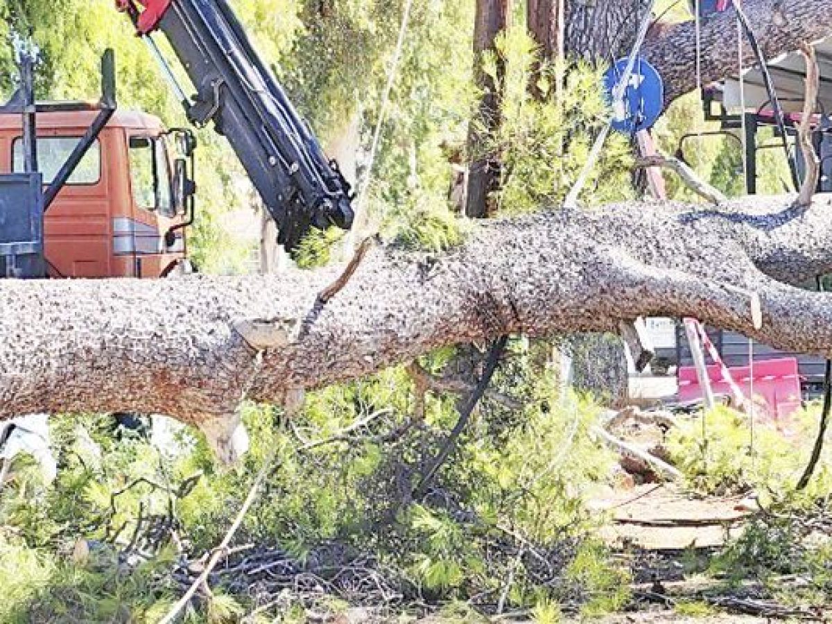 Σημαντικά προβλήματα από τους ισχυρούς ανέμους στο νομό Κιλκίς – Άμεση η αποκατάσταση των ζημιών