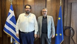 sinantisi-dimarchou-steliou-mamalaki-me