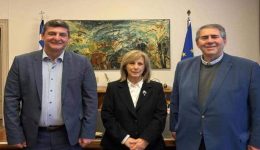 sinantisi-ergasias-dimarchou-pellas-me