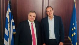 sinantisi-ergasias-spanaki-&ndash;-papanikolaou-1