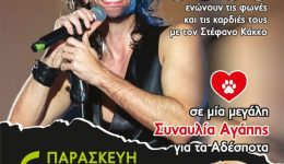 sinavlia-agapis-gia-ta-adespota