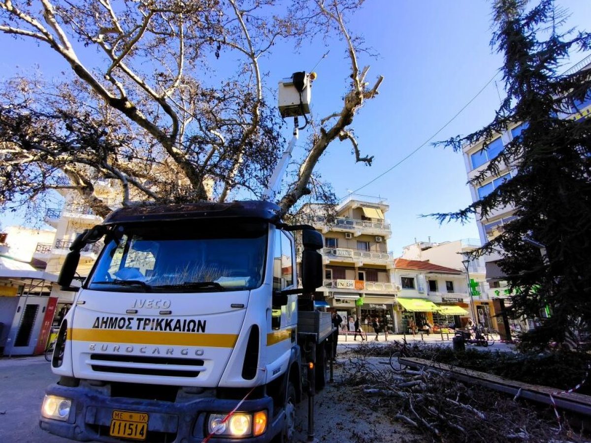 Συνεχίζει τα κλαδέματα ο Δήμος Τρικκαίων