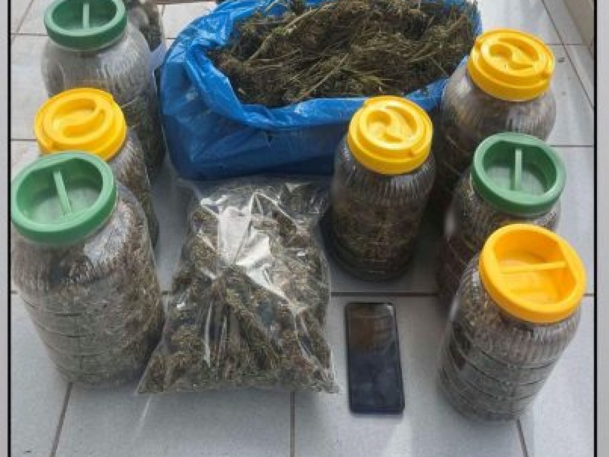 Συνελήφθη ημεδαπός στην ευρύτερη περιοχή των Τρικάλων για παραβάσεις της νομοθεσίας περί ναρκωτικών