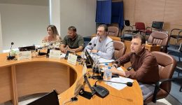 skiadaresis-i-periferiaki-archi-dapanise