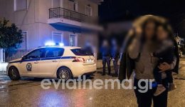 sok-stin-evvia-Άgrios-xilodarmos