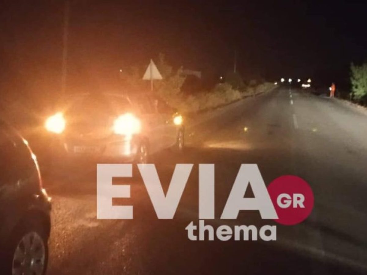 Σοκαριστικό τροχαίο στην Εύβοια: Αυτοκίνητο «καρφώθηκε» σε αγριογούρουνο – Τρεις τραυματίες στο νοσοκομείο