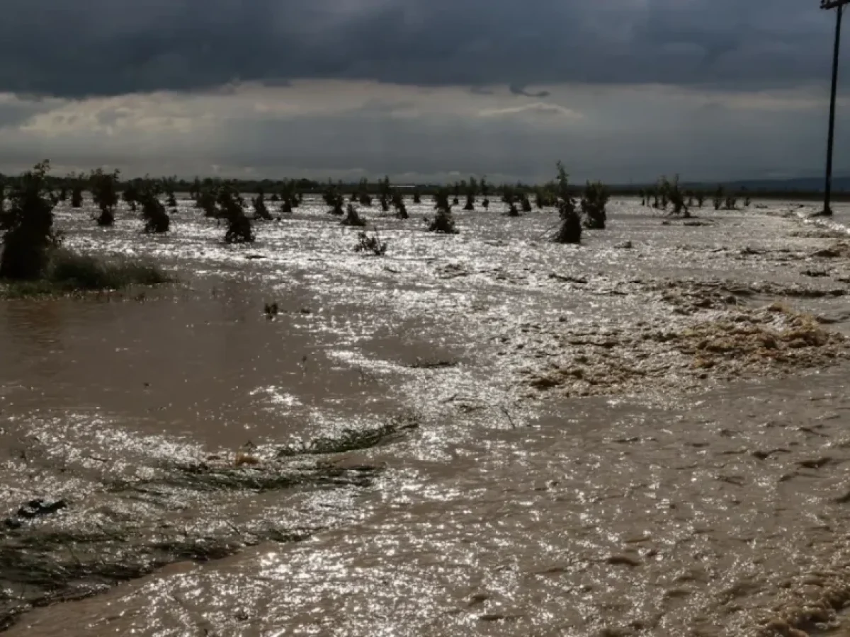 Σοβαρές Ζημιές από την Κακοκαιρία: Κατολισθήσεις, Πλημμύρες και Ρήγμα 200 μέτρων στην Ιονία Οδό