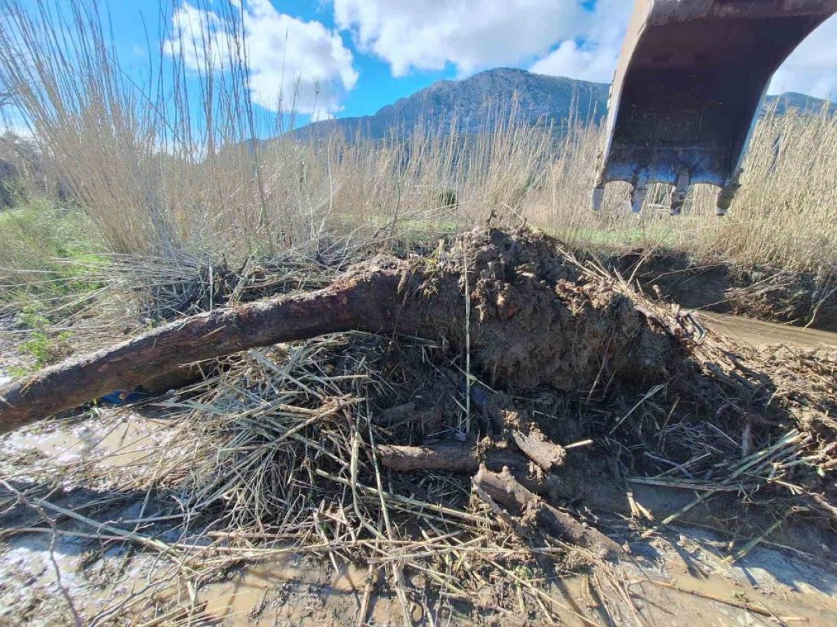 Σοβαρό πρόβλημα στο ρέμα στην Κάτω Βασιλική από φερτά υλικά