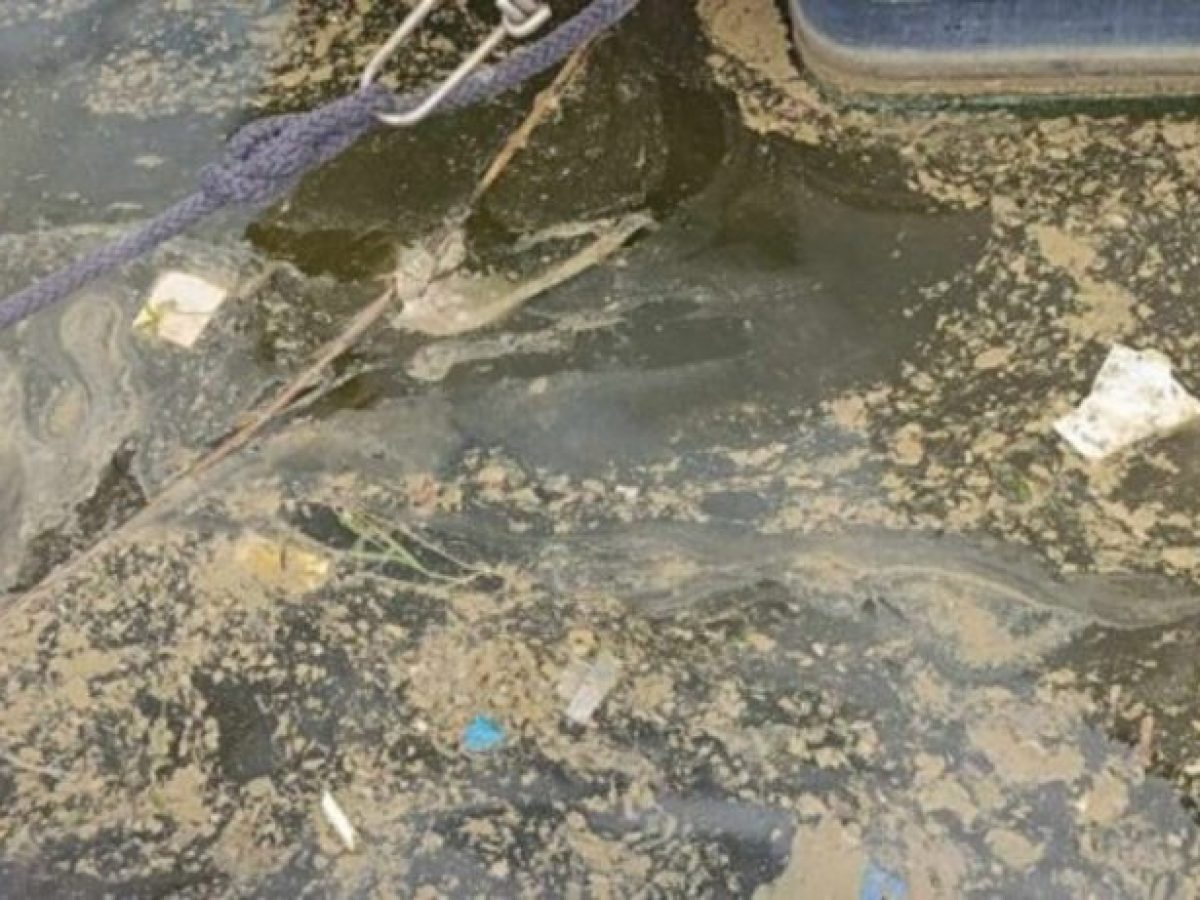 Στ. Λημνιός: Απόδοση ευθυνών για την ρύπανση στο λιμάνι Βόλου μετά το πόρισμα των Επιθεωρητών Περιβάλλοντος