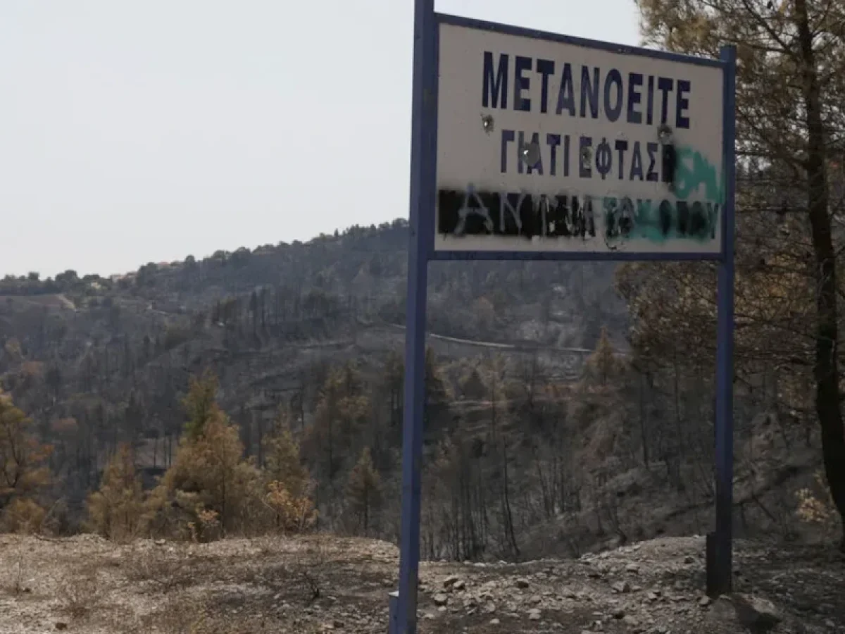 Στα αποκαΐδια της Εύβοιας  ξαναβλασταίνει η ελπίδα