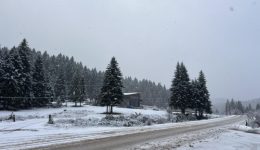 sta-lefka-apo-to-pertouli