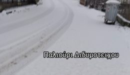 sta-lefka-o-nomos-evrou