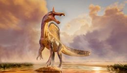 stin-erimo-tis-sacharas-vrethike