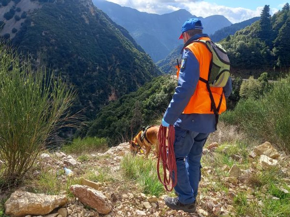 Στην πρώτη γραμμή κατά των δηλητηριασμένων δολωμάτων οι τετράποδοι φύλακες της άγριας ζωής του OΦΥΠΕΚΑ