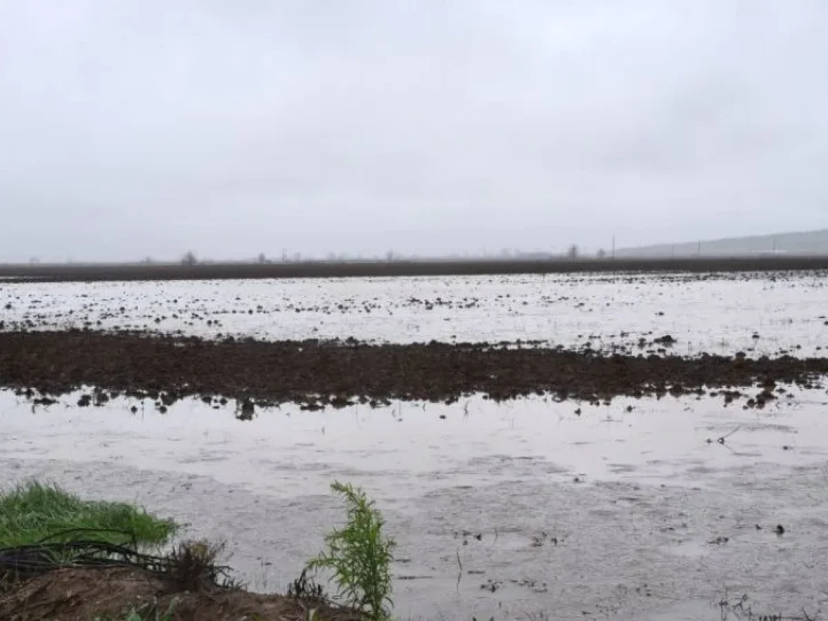 Στην Ανδρίτσαινα καταγράφηκε το μεγαλύτερο ύψος βροχόπτωσης