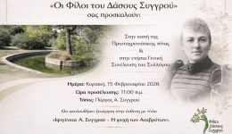 stis-15-fevrouariou-i-kopi