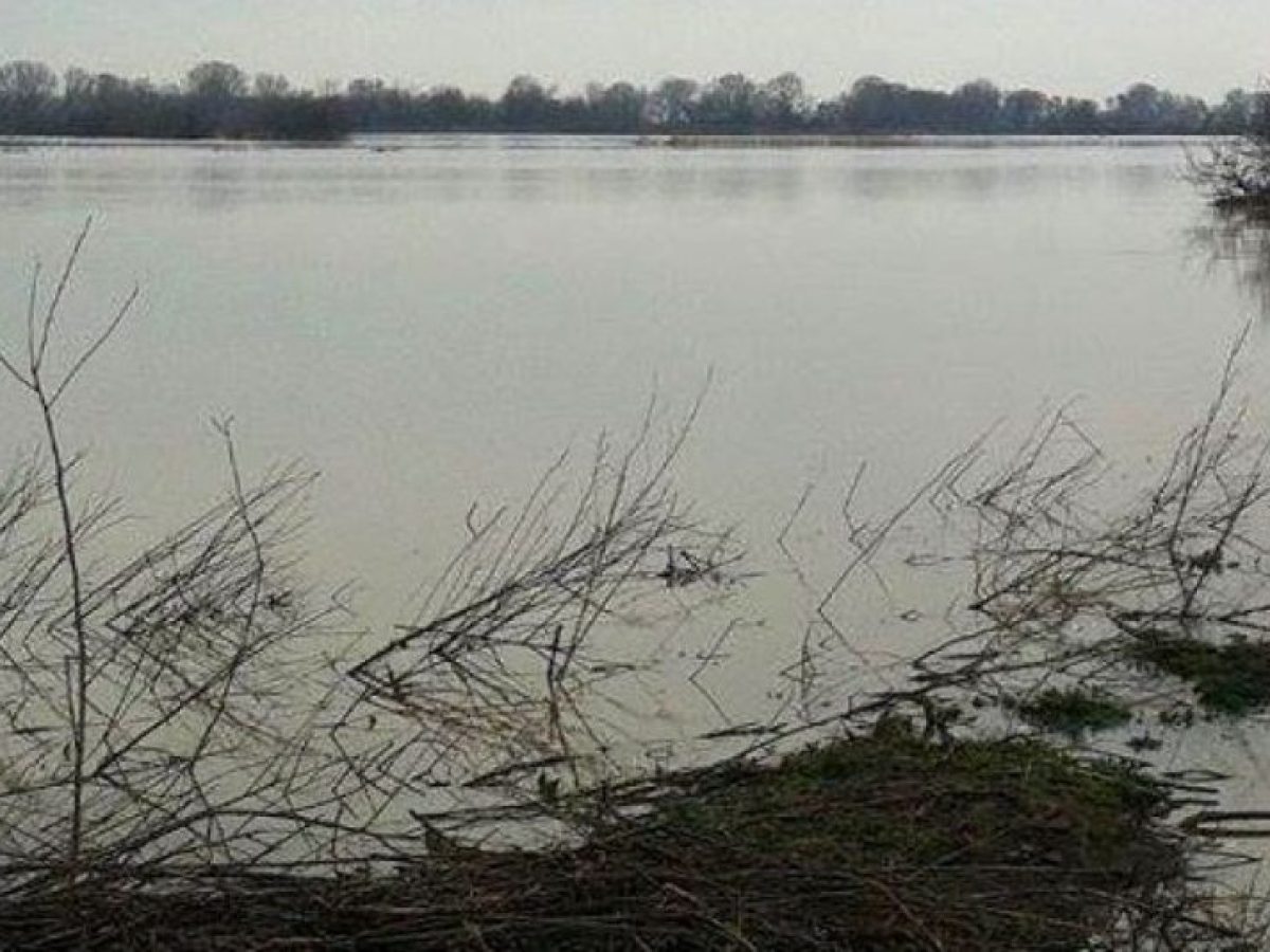 Στο έλεος των υδάτων ο Έβρος: Πάνω από 100.000 στρέμματα πλημμύρισαν – Φόβοι για νέες ρήξεις σε αναχώματα