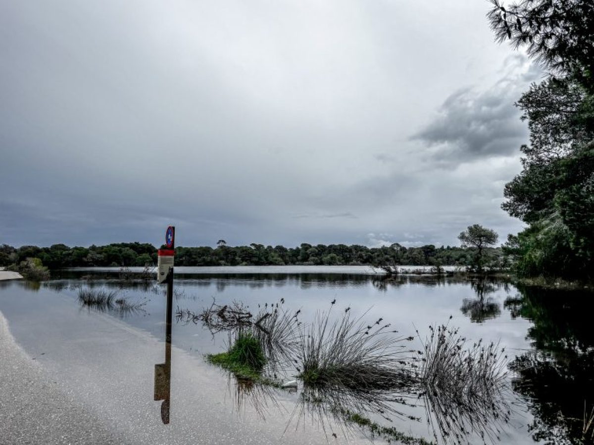 Στο «κόκκινο» ο Έβρος: Συνεχής «μάχη» στο Σουφλί για να σωθούν 40.000 στρέμματα – Κρίσιμες οι επόμενες ώρες
