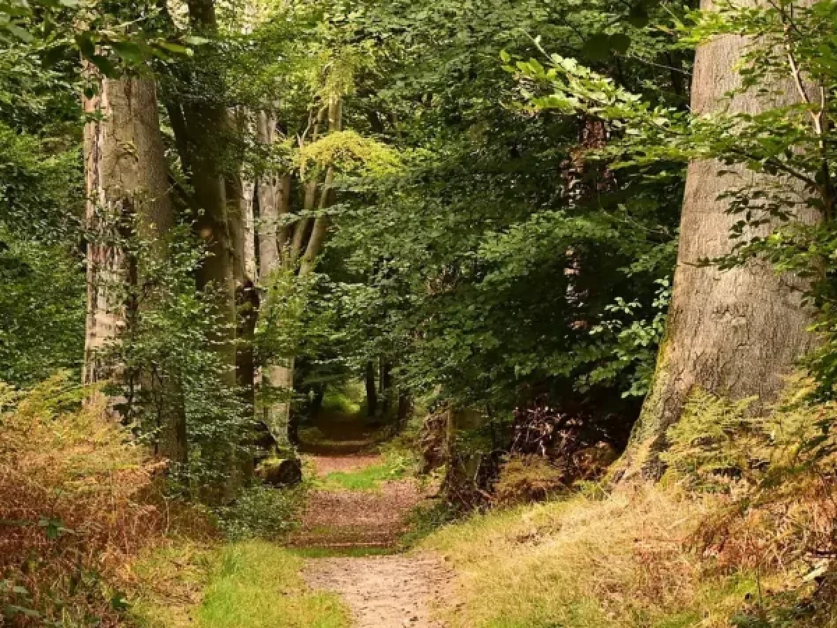 Στο νέο Εθνικό Δίκτυο Μονοπατιών ο Δήμος Πύλης