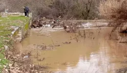 sto-orio-o-Αngitis-ferta